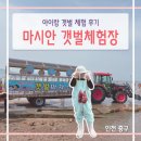 인천 마시안 갯벌체험장 방문 전 필독! 아이랑 준비물 꿀팁
