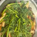 등촌샤브칼국수신방점 | 겨울철 매콤한 국물 맛집 천안 신방동 등촌칼국수 방문 후기~!(feat. 룸)