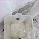 에이스크리닝 이미지