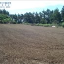 하모리-28 이미지