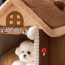 머쉬룸하우스 이미지