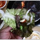 안중초롱길 네이버블로그
