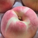 케이비농장 이미지