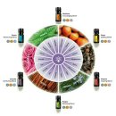 카이로 바른 척추교정 이미지