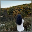 김포시청-장릉입구 | 🍁가볍게 보기 좋은 단풍 스팟 @김포 장릉 - 주차&amp;입장료&amp;후기