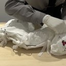 펫포레스트 반려동물장례식장 남양주점 이미지
