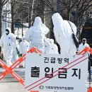 화성양돈 이미지