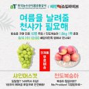 정오농수산 이미지