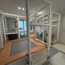 하이베어 풀빌라 이미지