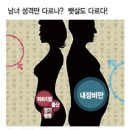 뱃살 빼는 법 - 남녀가 다르다. 이미지