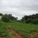 도곡리경로당 이미지