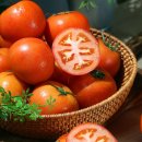 토마토2 이미지