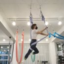 요가초급반 이미지