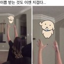 작고 작은 행복이 모여 대단히 큰 행복이 됨