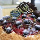 데일리브라운 이미지