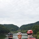 상영죽길 이미지