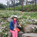 율곡수목원(3) 이미지