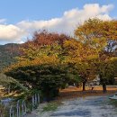 여울소리 오토캠핑장 이미지