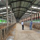 김춘식농장 이미지