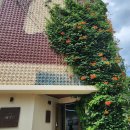 112901-바007-2 | 플레이더월드 대전은행점,방탈GO/문제없는방/007빵 후기::성심당 빵사러 대전 간김에 하기 좋은 방탈출