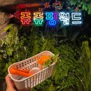 쥬쥬 | 안성 실내동물원 ‘쥬쥬핑월드’ 방문 후기