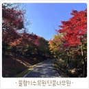 오산중증장애인센터 | 오산 물향기수목원 단풍나무원 실시간 단풍현황