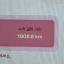 서진주유소 | 다 죽자