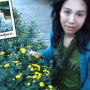 품안에약국 이미지