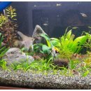 천일(550) 이미지