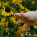 꽃단지 화장실 이미지