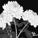 보한의원 이미지