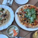 루셀로2 이미지