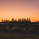 영산강자전거길안내센터 이미지