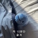잭슨피자 - 서대문구 경기대로9길 1 | 잭슨피자