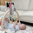 명성체육관 | 5개월 아기 발달 놀이 국민장난감 하베브릭스 아기체육관 2개월 사용후기