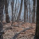 보경사 입구 이미지