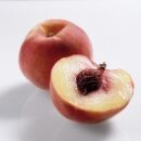 복숭아 이미지