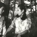 까치소리 이미지