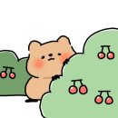 셀비오 영종점