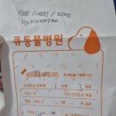 큐동물병원 이미지