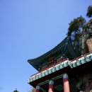순천-33호 Daum카페