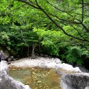 대구현암산악회 8월 18일 토요산행 안내 이미지