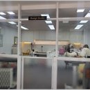 멍멍스타일 이미지