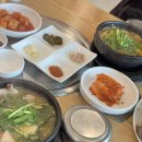 고려초장 | 논산 딸기축제 맛집 천평순대 현지인 추천 내돈내산 후기