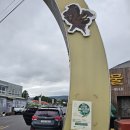 제주월드컵경기장 관광안내소 이미지