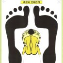 이젠피트