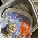 김앤정동물병원 이미지