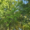 올림픽공원역3번출구 이미지