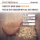 커민양꼬치