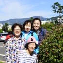 하북체육공원 축구장 이미지